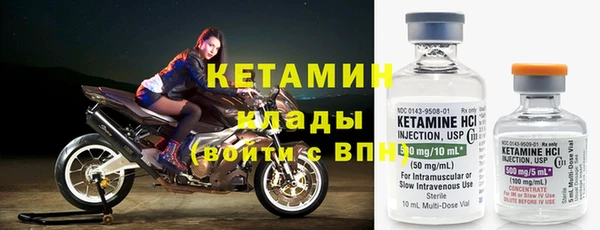 шишки Покачи