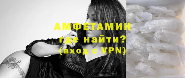 шишки Покачи