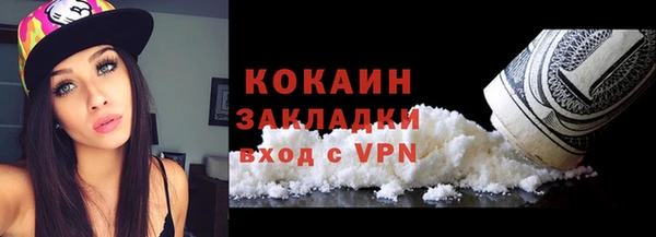 шишки Покачи