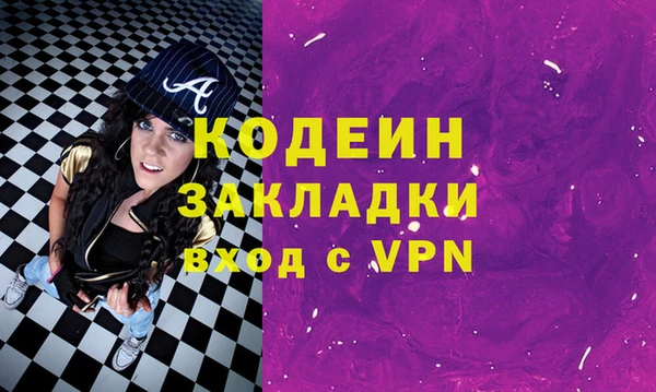 шишки Покачи