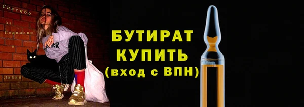 шишки Покачи
