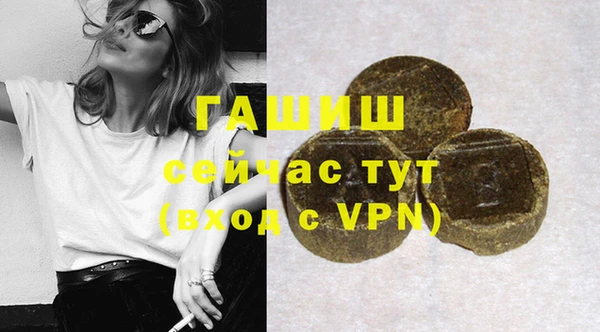 шишки Покачи