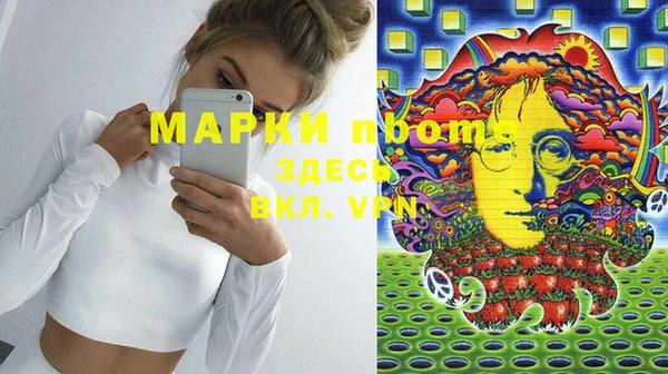 шишки Покачи