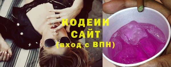 шишки Покачи